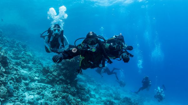 Fethiye Diving