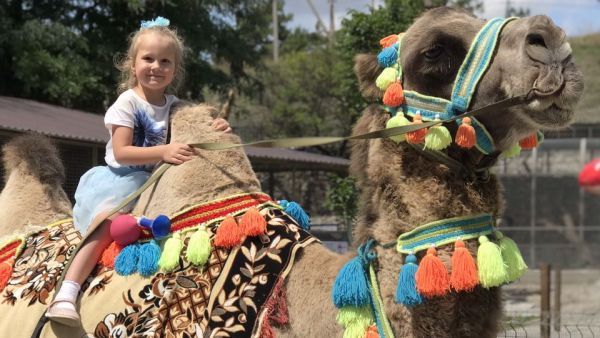 Fethiye Camel Ride
