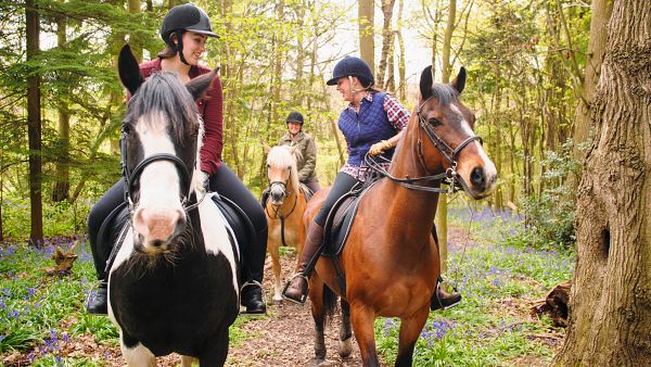 Fethiye Horse Riding